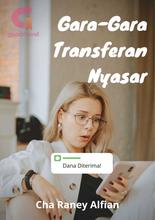 Novel Gara-gara Transferan Nyasar by Cha Raney Alfian