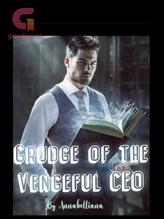 Novel Grudge of the Vengeful CEO by Anna