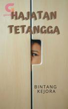 Novel Hajatan Tetangga by Bintang Kejora