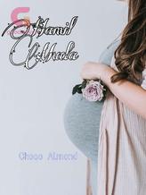 Novel Hamil Muda by Choco Almond