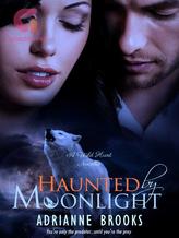 Novel Haunted by Moonlight by Adrianne Brooks