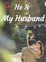 Novel He Is My Husband (INDONESIA) by helloimironman