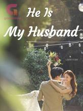 Novel He Is My Husband by helloimironman