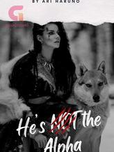 Novel He’s Not the Alpha by Ari Haruno