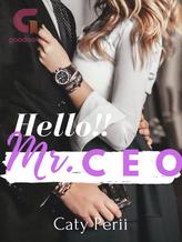 Hello!! Mr. CEO