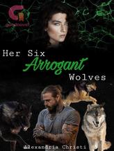 Novel Her Six Arrogant Wolves by Alexandria Christi