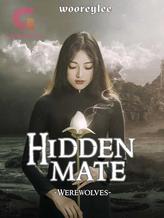 Novel Hidden Mate by wooreylee