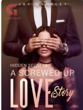 Novel Hidden Secrets: A Screwed Up Love Story by Jay Crawley