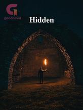 Novel Hidden by Allie Nettleton