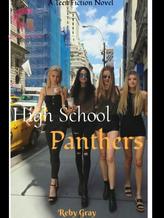 Novel High School Panthers by Reby Grayson