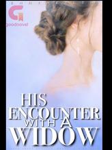 Novel His Encounter With A Widow by Ennywealth