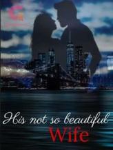 Novel His not so beautiful wife by suzangill