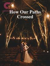 Novel How Our Paths Crossed by lina ewalu