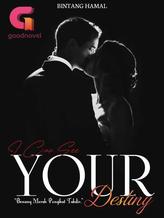 Novel I Can See Your Destiny by Bintang Hamal