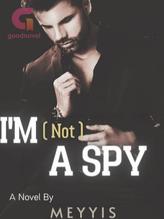 Novel I’M (Not) A Spy by Meyyis