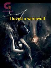 Novel I loved a werewolf by Malak Morsi