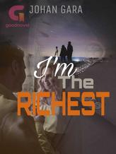 Novel I’m The Richest by Johan Gara