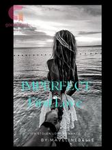 Novel IMPERFECT First Love by tendanipascal