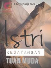 Novel ISTRI KESAYANGAN TUAN MUDA by Wafa Farha