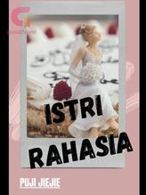 Novel ISTRI RAHASIA by Puji Jiejie