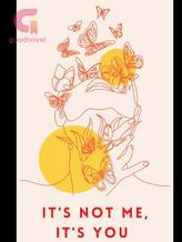 Novel IT’S NOT ME, IT’S YOU by caseyandbosten