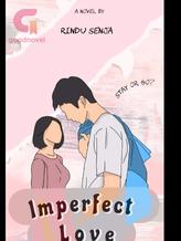 Novel Imperfect love by Rindu u