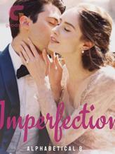 Novel Imperfection by Alphabetical B