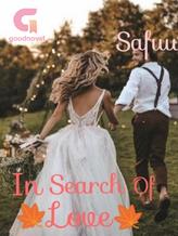 Novel In Search of Love Season 1 by Safuu