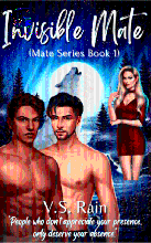 Invisible Mate( Mate Series Book 1)