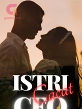 Novel Istri Cacat CEO by Bun say