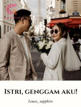Novel Istri, Genggam Aku! by Leuco_sapphire Novel Istri, Genggam Aku! by Leuco_sapphire
