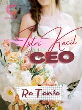 Novel Istri Kecil CEO by Ra Tania