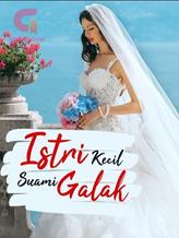 Novel Istri Kecil Suami Galak by Rae