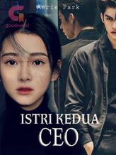 Novel Istri Kedua CEO by Aeris Park