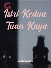 Novel Istri Kedua Tuan Kaya by limabersaudara