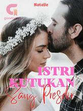 Novel Istri Kutukan Sang Presdir by Nathalie