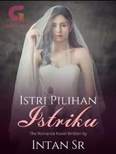 Novel Istri Pilihan Istriku by Intan SR