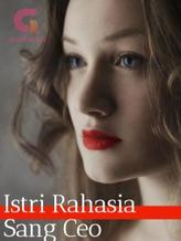 Novel Istri Rahasia Sang Ceo by RinaraDesvia