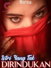 Novel Istri Yang Tak Dirindukan by Kariani Sukadi