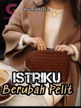 Novel Istriku Berubah Pelit by Arumi Nazra