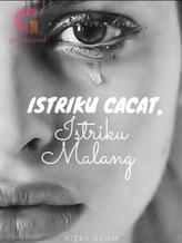 Novel Istriku Cacat, Istriku Malang by Shinee