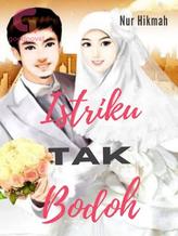 Novel Istriku Tak Bodoh by Nur Hikmah