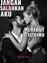 Novel Jangan Salahkan Aku Merebut Istrimu by Kay