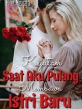 Novel Kejutan Saat Aku Pulang Membawa Istri Baru by Pipit Aisyafa