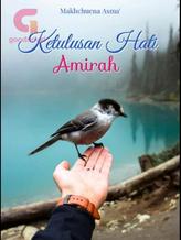 Novel Ketulusan Hati Amirah by Makhchuena Asma