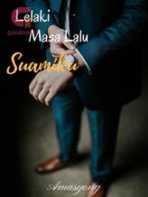 Novel LELAKI MASA LALU SUAMIKU by Amasyong