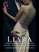 Novel Liara by Sinda