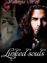 Novel Linked Souls by Valkyria Wolf