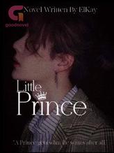 Novel Little Prince by ElKay