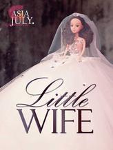 Novel Little Wife by Asia July